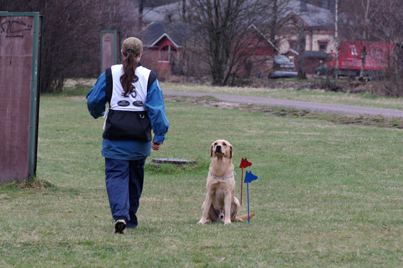 8.5.2010 146c.jpg